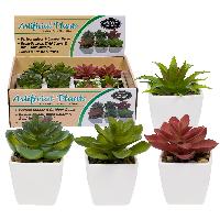 Mini Maceta c/suculenta 10cm - 4mod dif